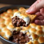 air fryer smores dip with toasted marshmallows and melted chocolate