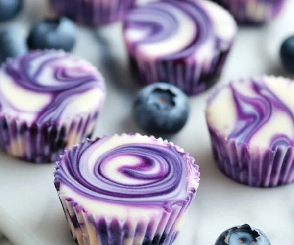 Blueberry swirl yogurt bites, a healthy and delicious snack option.