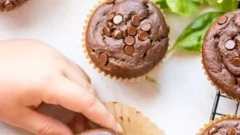 Delicious healthy veggie chocolate muffins with visible chocolate chips and a moist texture