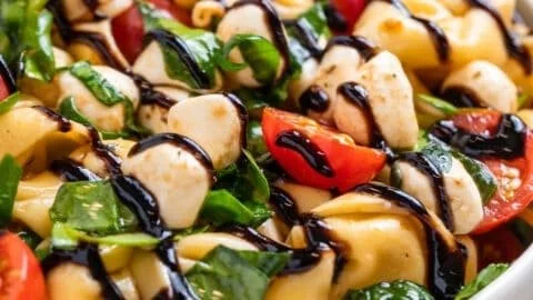 Delicious Tortellini Caprese pasta salad with fresh tomatoes and mozzarella