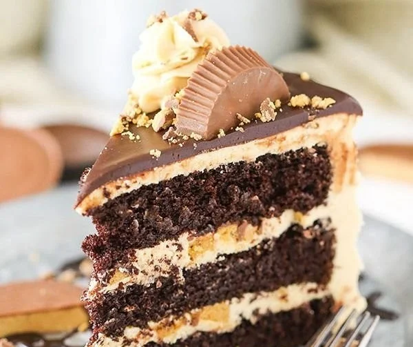 Creamy peanut butter chocolate cake with rich frosting and toppings