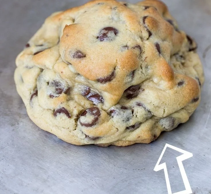 Giant chocolate chip cookies fresh from the oven on a baking sheet