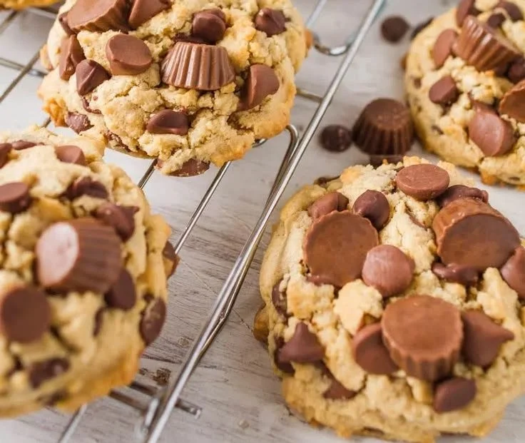 Peanut Butter Cup Chocolate Cookies on a plate, delightfully rich and chewy.